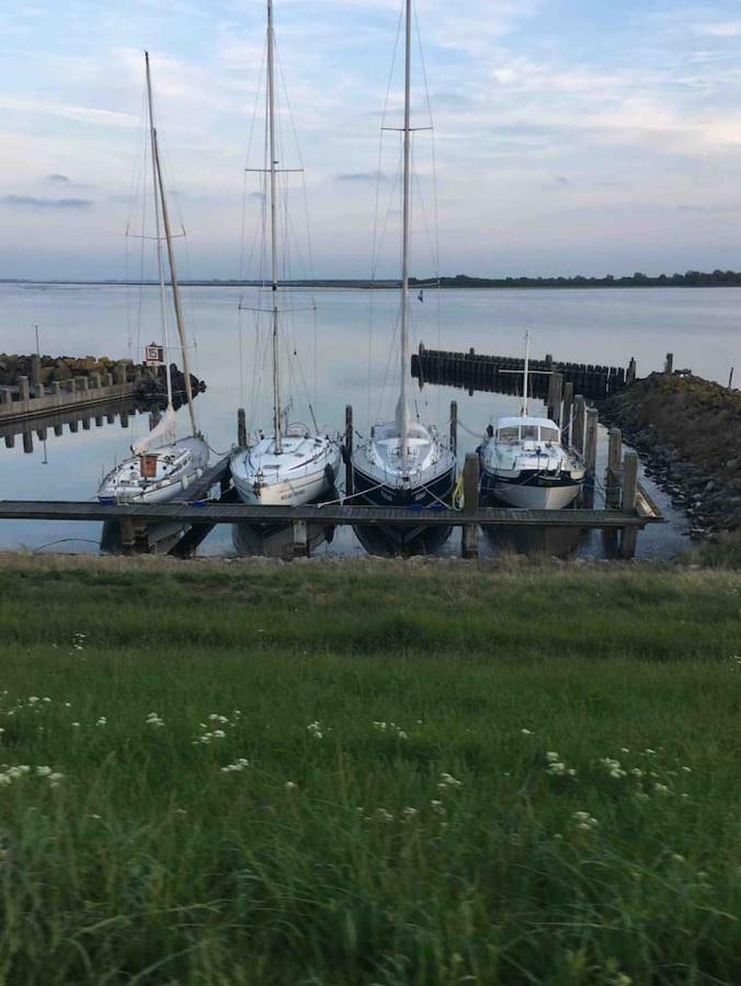 Vakantiehuisje In Ouddorp Dichtbij Het Strand 外观 照片